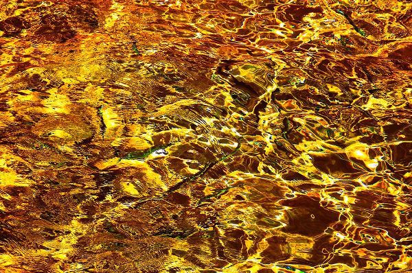 Jenny Rainbow Fine Art 아티스트의 Golden Water Abstract작품입니다.