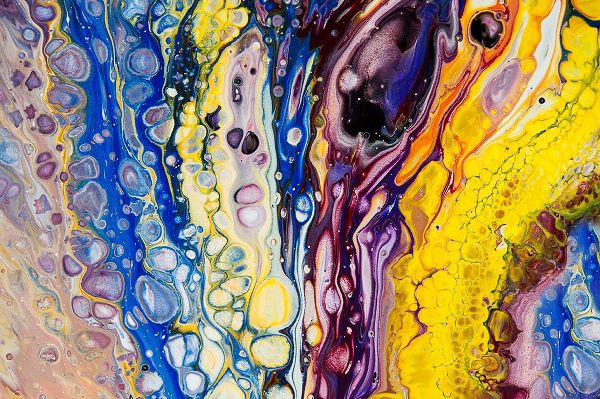 Jenny Rainbow Fine Art 아티스트의 Fluid Acrylic Iridescent Reality작품입니다.