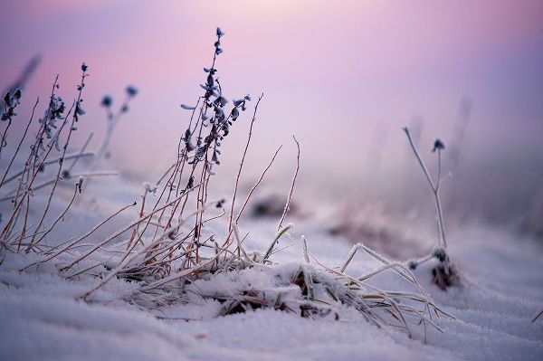 Jenny Rainbow Fine Art 아티스트의 Magic Winter Moments 1작품입니다.