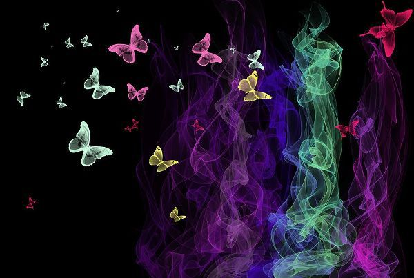 Jenny Rainbow Fine Art 아티스트의 Neon Butterflies작품입니다.