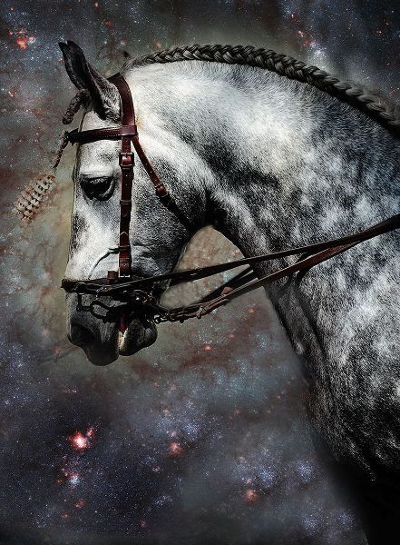 Jenny Rainbow Fine Art 아티스트의 The Horse Among the Stars작품입니다.