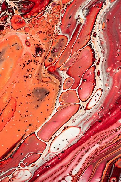 Jenny Rainbow Fine Art 아티스트의 Fluid Acrylic Unknown Taste 7작품입니다.