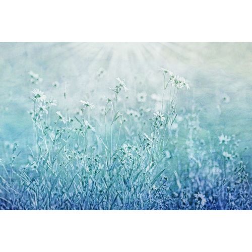 Schell, Jennie Marie 아티스트의 Blue Flower Meadow작품입니다.