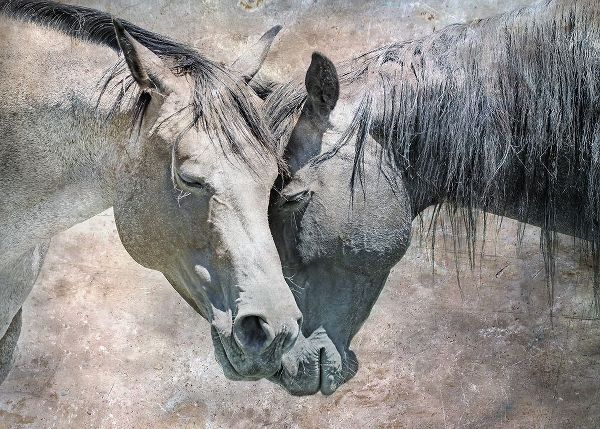 Schell, Jennie Marie 아티스트의 Horse Love Rustic작품입니다.