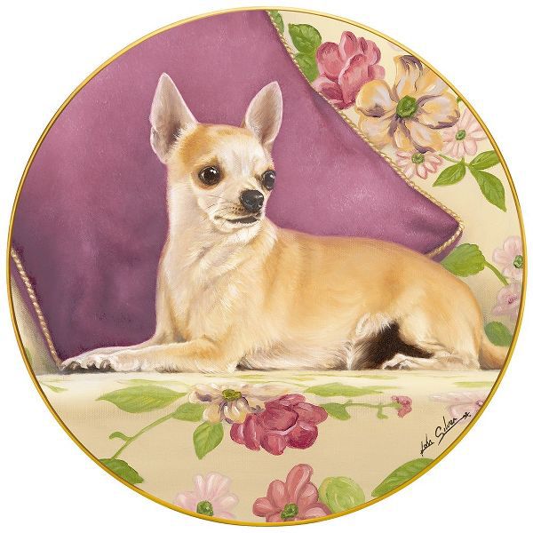 Silver, John 아티스트의 Chihuahua With Pillow작품입니다.