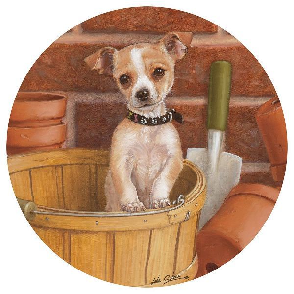 Silver, John 아티스트의 Chihuahua In Basket작품입니다.