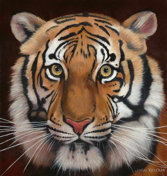 Zaccheo, John 아티스트의 Tiger작품입니다.