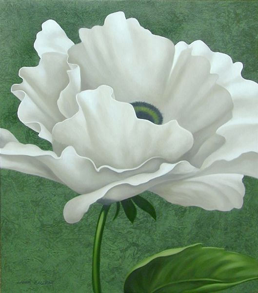 Zaccheo, John 아티스트의 White Poppy작품입니다.