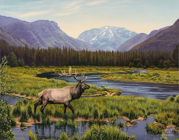 Zaccheo, John 아티스트의 Meadows of Grand Lake, Colorado작품입니다.