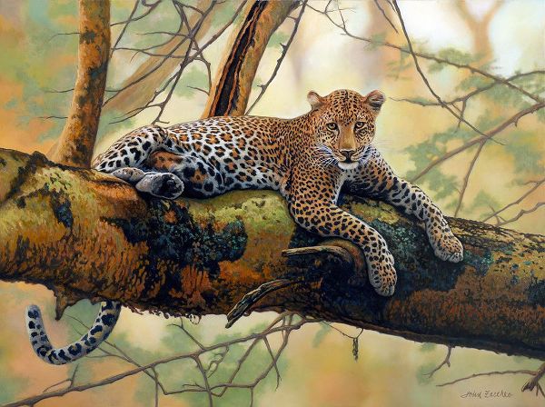 Zaccheo, John 아티스트의 African Leopard작품입니다.