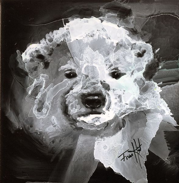 Art by Leslie Franklin 아티스트의 Polar Bear Cub작품입니다.