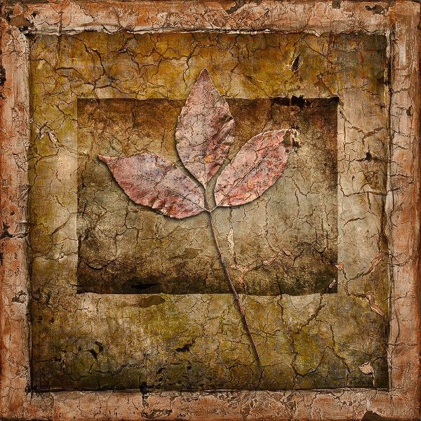 LightBoxJournal 아티스트의 Autumn Leaves II작품입니다.