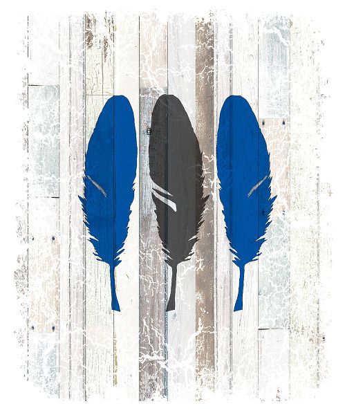 LightBoxJournal 아티스트의 The Blue Moose - Feathers작품입니다.