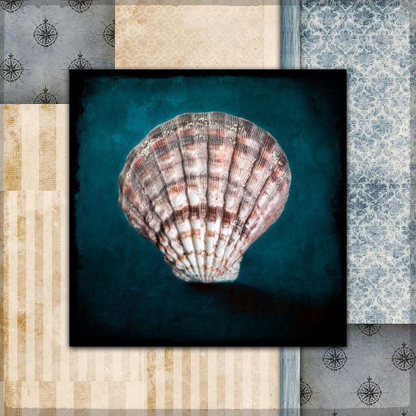 LightBoxJournal 아티스트의 Blue Sea Clam Shell 2작품입니다.