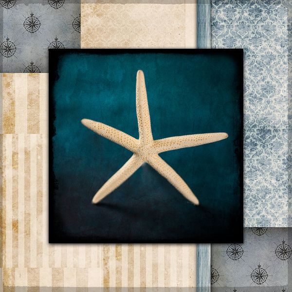 LightBoxJournal 아티스트의 Blue Sea Starfish작품입니다.
