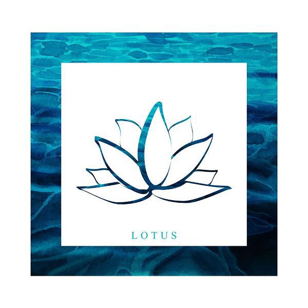 LightBoxJournal 아티스트의 Yoga V1 Lotus작품입니다.