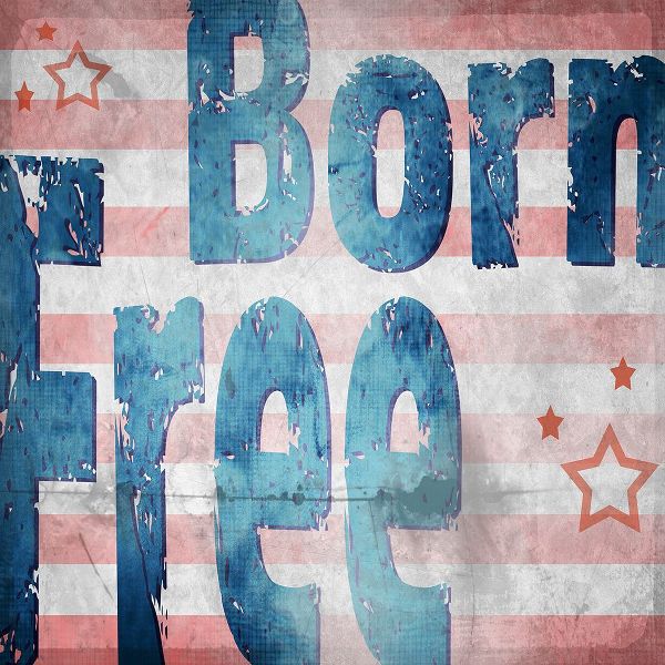 LightBoxJournal 아티스트의 American Born Free Sign Collection 1작품입니다.