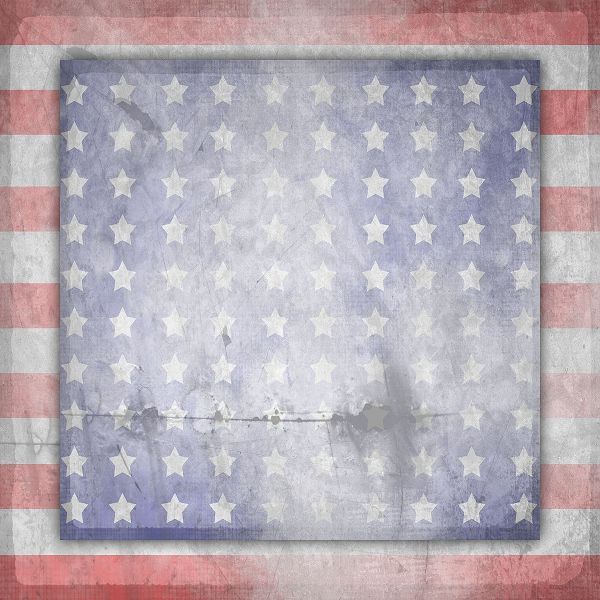 LightBoxJournal 아티스트의 American Born Free Sign Collection V14작품입니다.