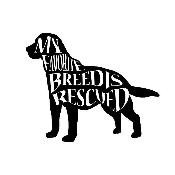 LightBoxJournal 아티스트의 Rescue Dog 1작품입니다.