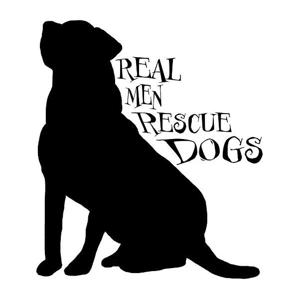LightBoxJournal 아티스트의 Rescue Dog 8작품입니다.