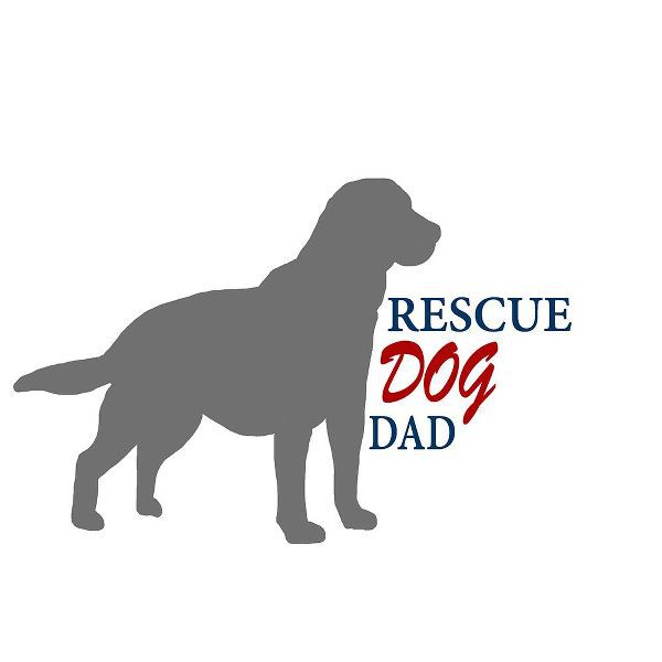 LightBoxJournal 아티스트의 Rescue Dog 10작품입니다.