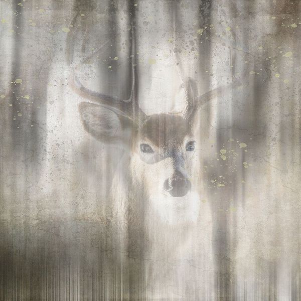LightBoxJournal 아티스트의 Antique Wildlife Deer 01작품입니다.