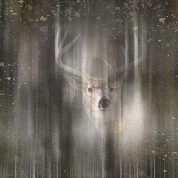 LightBoxJournal 아티스트의 Antique Wildlife Deer 02작품입니다.