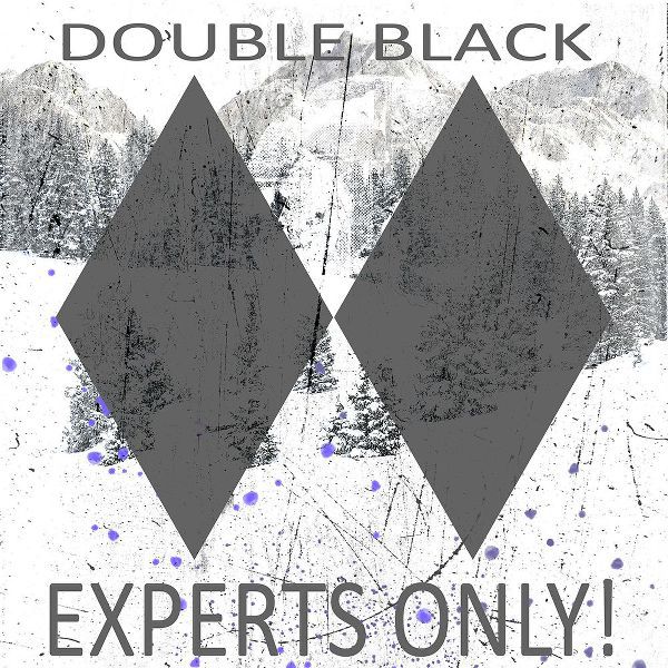 LightBoxJournal 아티스트의 Extreme Snowboarder Double Black작품입니다.