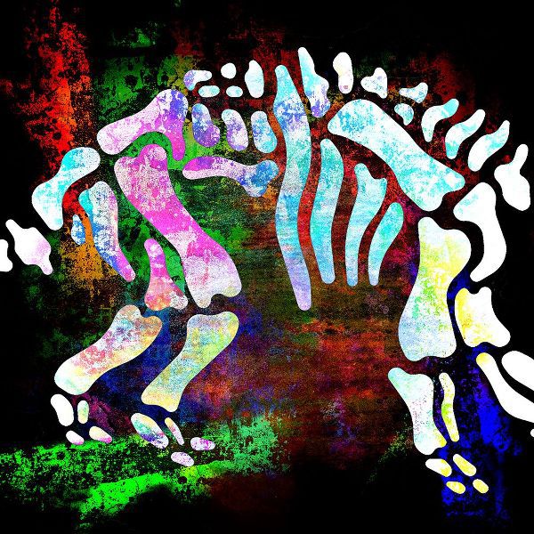 LightBoxJournal 아티스트의 Dino Bones Trieratops series 02작품입니다.