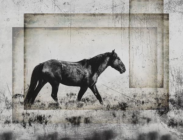 LightBoxJournal 아티스트의 Wild Horses of the Great Basin 05작품입니다.