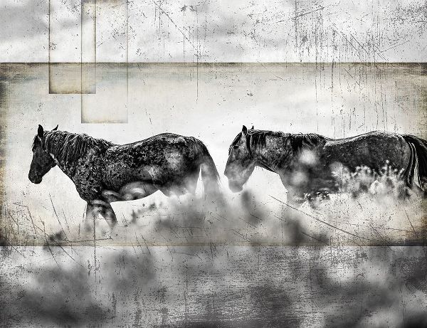 LightBoxJournal 아티스트의 Wild Horses of the Great Basin 06작품입니다.