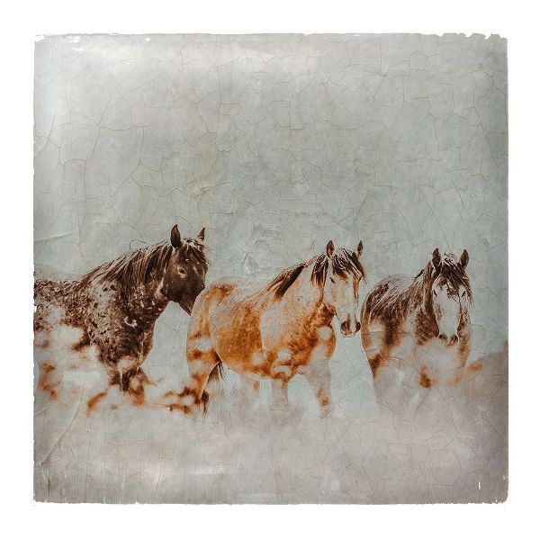 LightBoxJournal 아티스트의 Wild Horses of the Great Basin Lomography 04작품입니다.