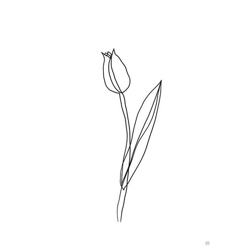 Line and Brush 아티스트의 Line Tulips 2작품입니다.