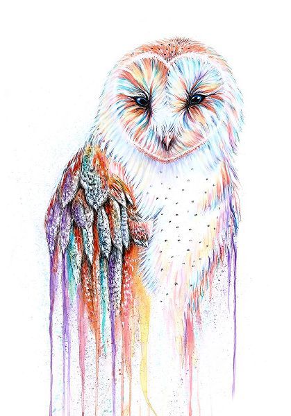 Wickstrom, Martin 아티스트의 Barred Rainbow Owl작품입니다.