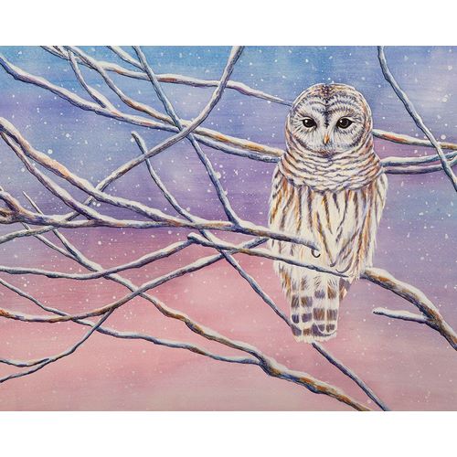 Wickstrom, Martin 아티스트의 Snowy Barred Owl작품입니다.