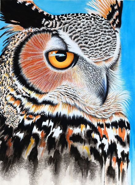 Wickstrom, Martin 아티스트의 Great Horned Owl Eye작품입니다.