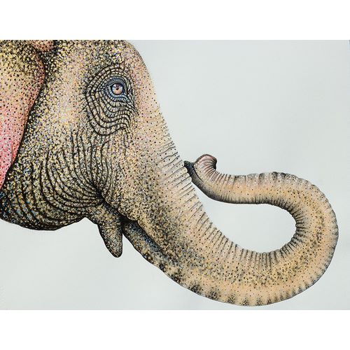 Wickstrom, Martin 아티스트의 Spotted Asian Elephant 2작품입니다.