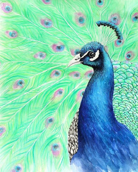 Wickstrom, Martin 아티스트의 Mr. Peacock작품입니다.