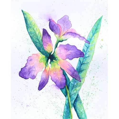 Wickstrom, Martin 아티스트의 Purple Orchid작품입니다.