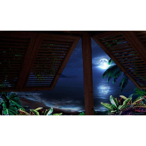 Murray Henderson Fine Art 아티스트의 Tropical Dream Moon View작품입니다.
