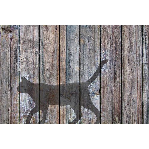 Murray Henderson Fine Art 아티스트의 Barn Cat Shadow 5작품입니다.