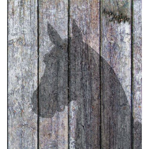Murray Henderson Fine Art 아티스트의 Horse Shadow작품입니다.
