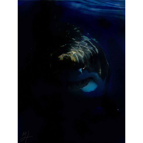 Murray Henderson Fine Art 아티스트의 Shark Shadows (1)작품입니다.