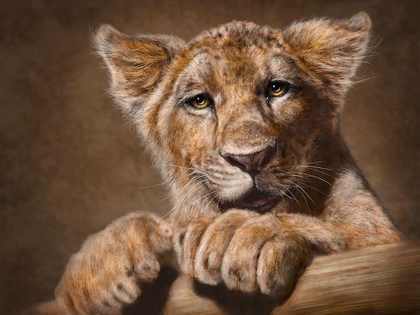 LaMontagne, Patrick 아티스트의 Lion Cub작품입니다.