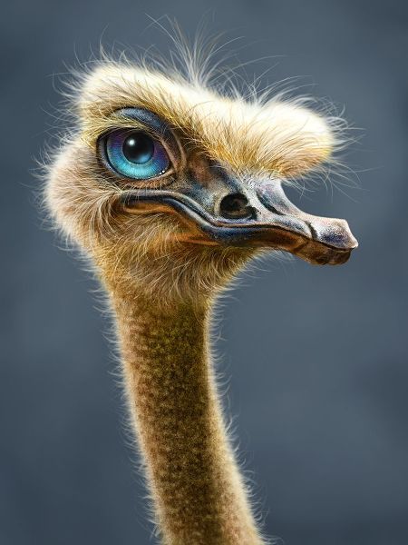 LaMontagne, Patrick 아티스트의 Ostrich Totem작품입니다.