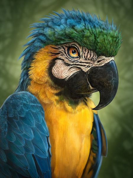 LaMontagne, Patrick 아티스트의 Parrot Totem작품입니다.