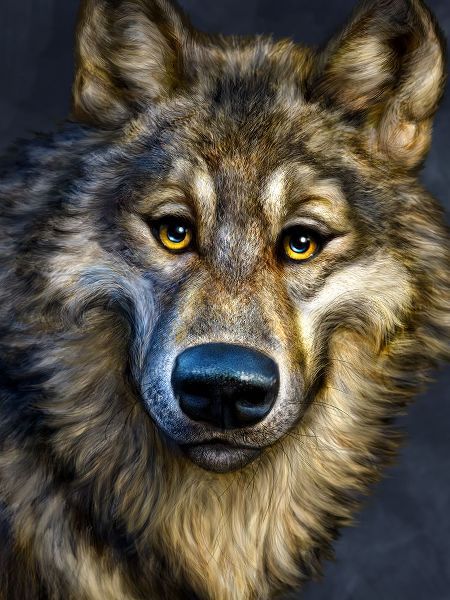 LaMontagne, Patrick 아티스트의 Wolf Totem작품입니다.