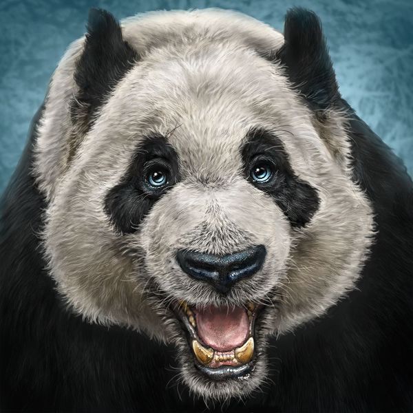 LaMontagne, Patrick 아티스트의 Panda Face작품입니다.