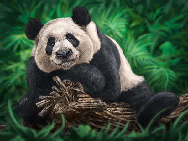 LaMontagne, Patrick 아티스트의 Peaceful Panda작품입니다.