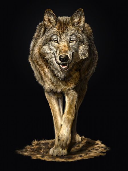 LaMontagne, Patrick 아티스트의 Walking Wolf작품입니다.